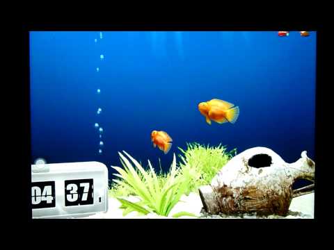 how to get more points on iquarium