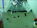 Bio-Hydrogen Production with Bacteria Bio-Hydrogen Production with Bacteria