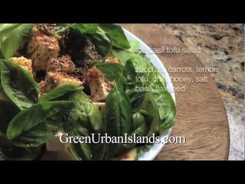 how to grow zucchini hydroponically