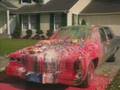 Spishak Spishwax Car Wax