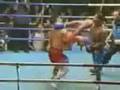 videos de la Gran pelea