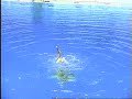 Natation synchronisée