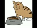 Catman Catman