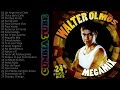 Walter Olmos - Megamix