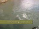 Winter Steelhead Catch & Release...
