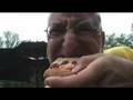 The Munchmobile goes for some backyard pizza