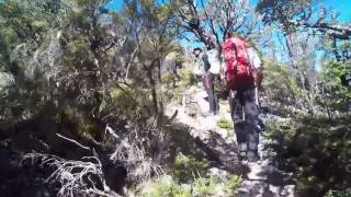 Youngman Stream hike