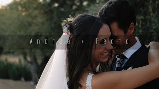 Andrea + Pedro - Highlights