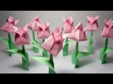 how to harvest 30 boxes of tulips