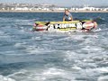 allegra kite tube