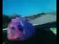 videos de Sinn runbo fijo