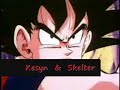 Dragon Ball Z - A Saga do Secador de cabelo