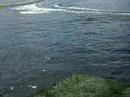 Wakeboard � Lery-Poses : les videos Wakeboard