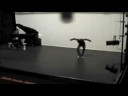 mosaic dance co