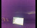 Opel Vectra B Acceleration with CarPC
