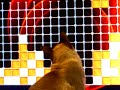 Trillian the Lumines Cat - Thumb #3