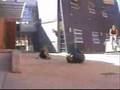 ballarat parkour, best of