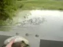 Also dau wara ma amol bei nar Staumaua am Leach dunda und hond a paar Pirata dabei kett...