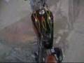 Kikker Hardknock Bobber