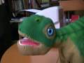 Llegó Pleo - mascota en la redacción de MarketingDirecto.com