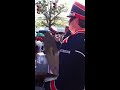 Auburn Tiger Band