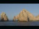 Whale Watching in the Sea of Cortez
