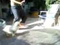 videos de Baileeh del perritoooo (&) xdd