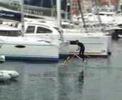 Aquaskipper on Croatia Boat Show