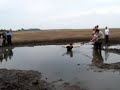 Jumping into the salt water marsh - Wallops Island, Virginia