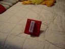 Wheelock EHS-DL1 Horn/Strobe Fire Alarm Test