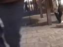 Hardflip 8 stairs