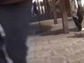 Hardflip 8 stairs
