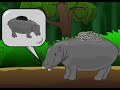 Hippo with noodles on his back--best quality on YouTube Hippo with noodles on his back--best quality on YouTube