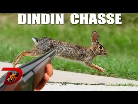 chasse - 1ère partie d'un weekend de chasse au petit gibier pour l'ouverture de la saison 2013-2014 dans les plaines de la Brie. Une superbe journée entre amis, avec ...