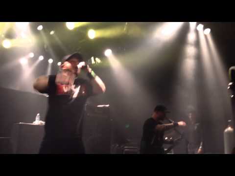 how to bleed vs commodore