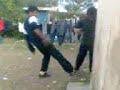 retavatoslocos.3gp