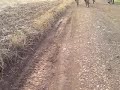Qik - Mobile video by Giro Bike Bicicletas