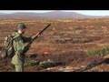Rypejakt 2 av Kristoffer Clausen, grouse hunting