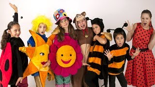 Čiperkové v Mohelnici