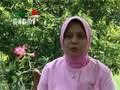 Marwah Daud Ibrahim_The Power of Planning MHMMD