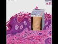 Histopathology Skin--Lamellar ichthyosis