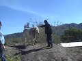 Durango, Mexico