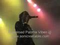 Pantha-Vibes-live-20