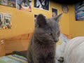 ptit babouuuuuuuuuu ptit babouuuuuuuuuu