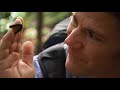 Lethal encounter with killer centipede - Deadly 60 - BBC