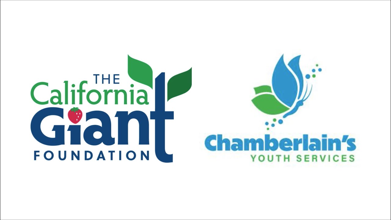 Chamberlains Youth Services
