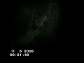 possible fallen angel in catalonia  spain 