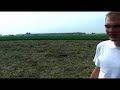 Graancirkel bij Schiphol?!