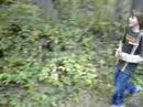 Walking in the forest in Gailtal/Austria Walking in the forest in Gailtal/Austria