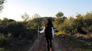 مسار أم صفا – جيبيا – برهام مسار أم صفا – جيبيا – برهام